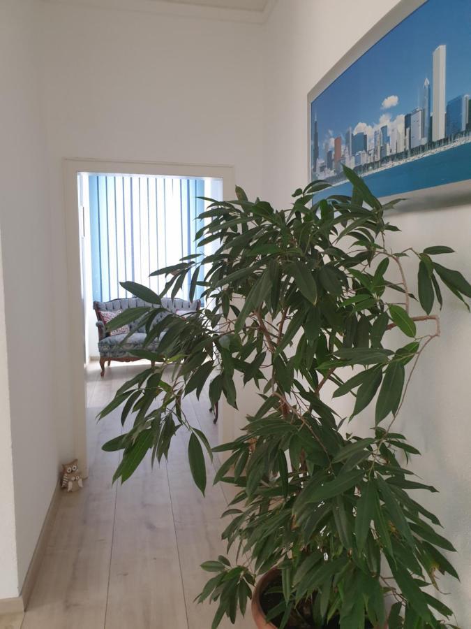 Marumparkblick 巴特索伯恩海姆 外观 照片